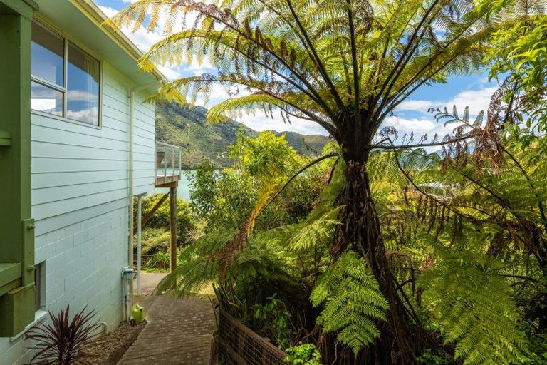 Photo of property in 685 Queen Charlotte Drive, Havelock, Picton, 7281