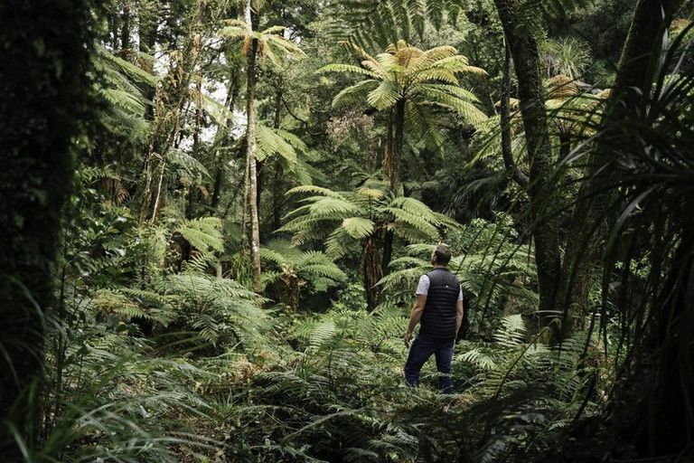 Photo of property in 9e Mcquade Road, Whakamarama, Tauranga, 3179