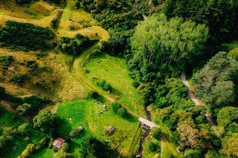 Photo of property in 191 Norwood Street, Normanby, Dunedin, 9010