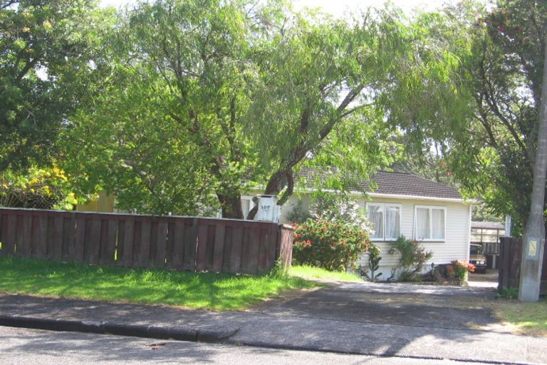 Photo of property in 107 Riverpark Crescent, Henderson, Auckland, 0610