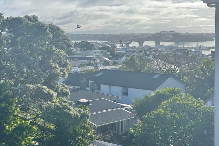 Photo of property in 18 Dedwood Terrace, Saint Marys Bay, Auckland, 1011