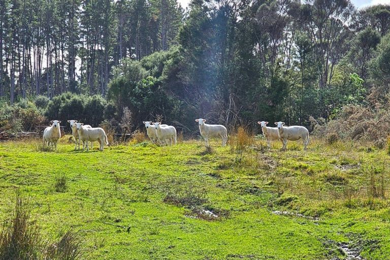 Photo of property in 3615 Horeke Road, Taheke, Kaikohe, 0473