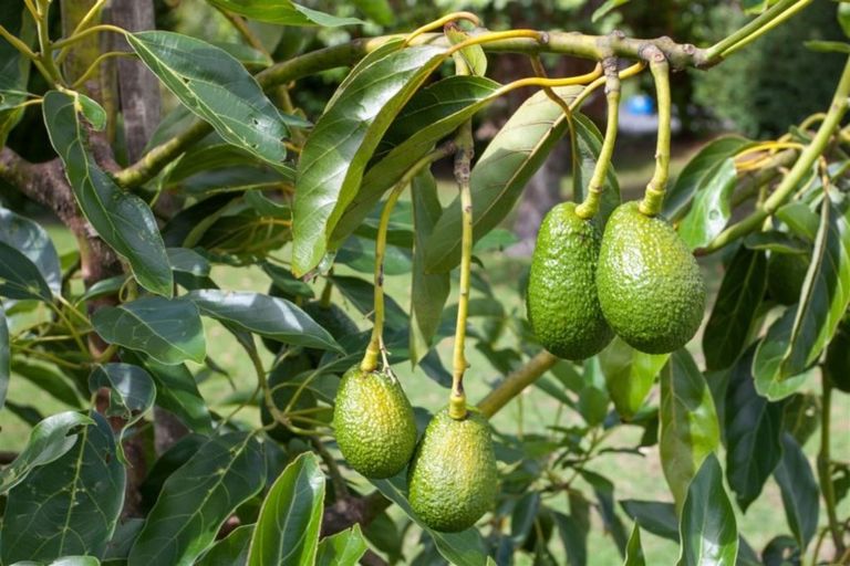 Photo of property in 1b Governors Heights, Whangamata, 3620