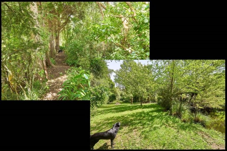 Photo of property in 7 Whisky Way, Aokautere, Palmerston North, 4471