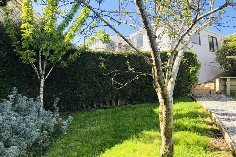 Photo of property in 6 Haig Street, Mornington, Dunedin, 9011