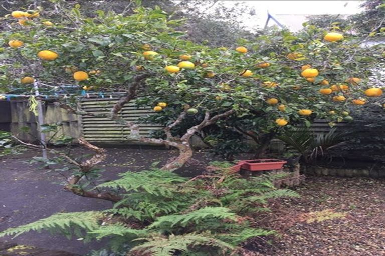 Photo of property in 20 Wilkinson Way, Browns Bay, Auckland, 0630