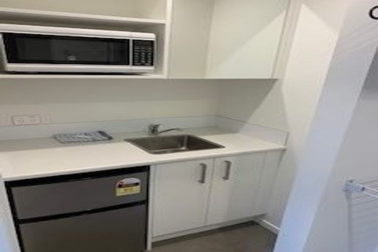 Photo of property in 33 Sandleigh Road, Hamilton Lake, Hamilton, 3204