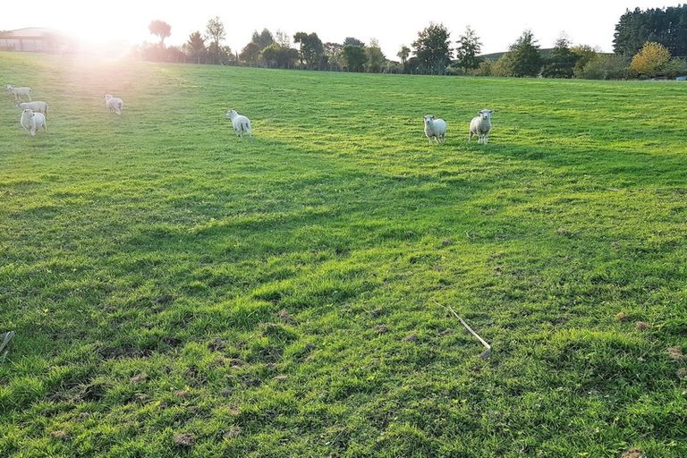 Photo of property in 143h Smith Road, Dannevirke, 4978