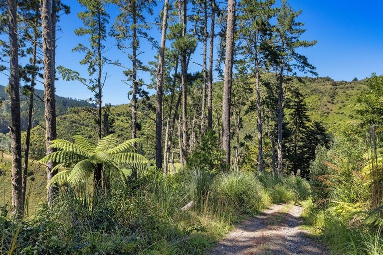 Photo of property in 1588 Stanley Road, Waimana, 3198