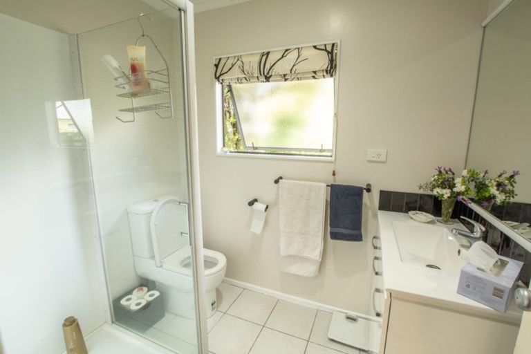 Photo of property in 63 Solomon Street, Brookfield, Tauranga, 3110