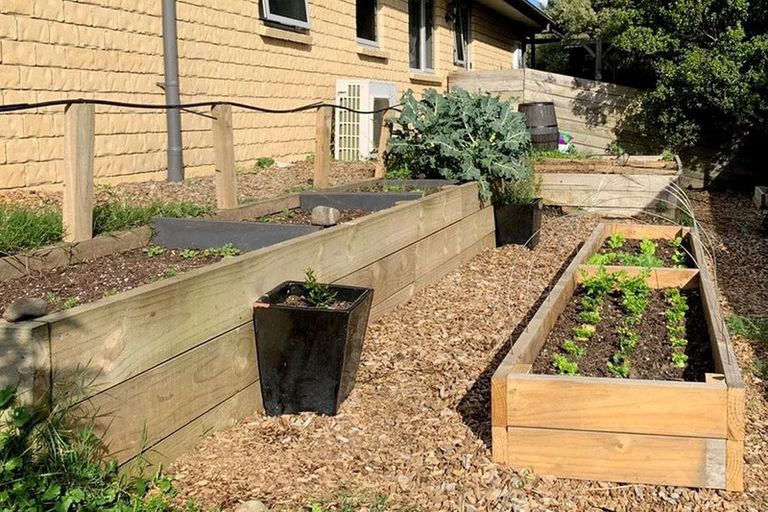 Photo of property in 929 Puahue Road, Rotoorangi, Te Awamutu, 3879