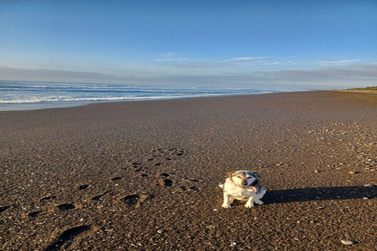 Photo of property in 150 Kings Road, Leithfield, 7481