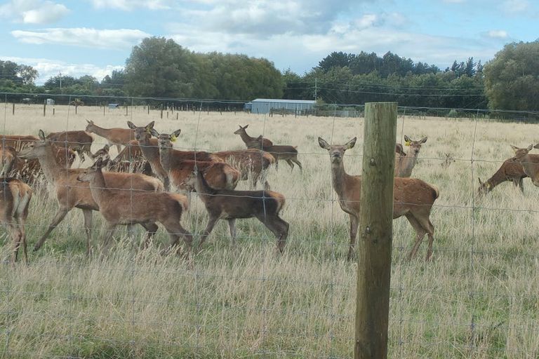 Photo of property in 43 Makybe Terrace, Lincoln, 7608