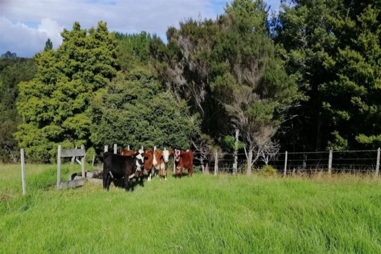 Photo of property in 68 Ranui Road, Karetu, 0283