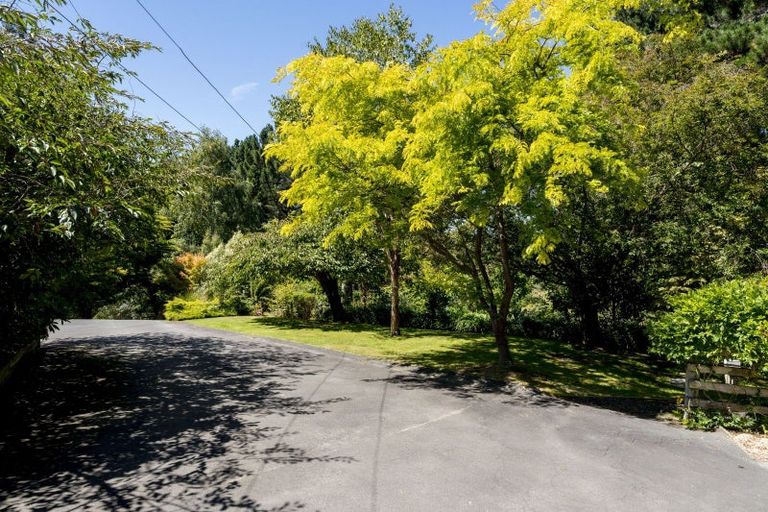 Photo of property in 51 Flower Street, Fairfield, Dunedin, 9018