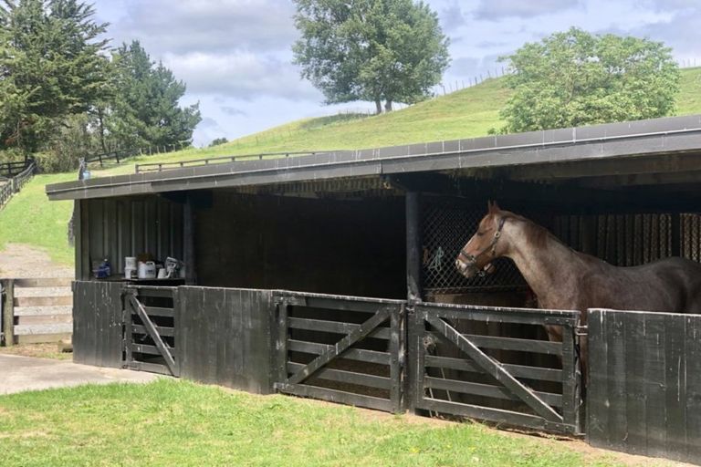 Photo of property in 57 Pukerimu Lane, Cambridge, 3495