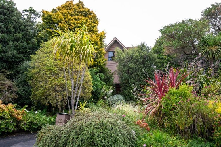 Photo of property in 22 Cedar Road, Te Awanga, 4102