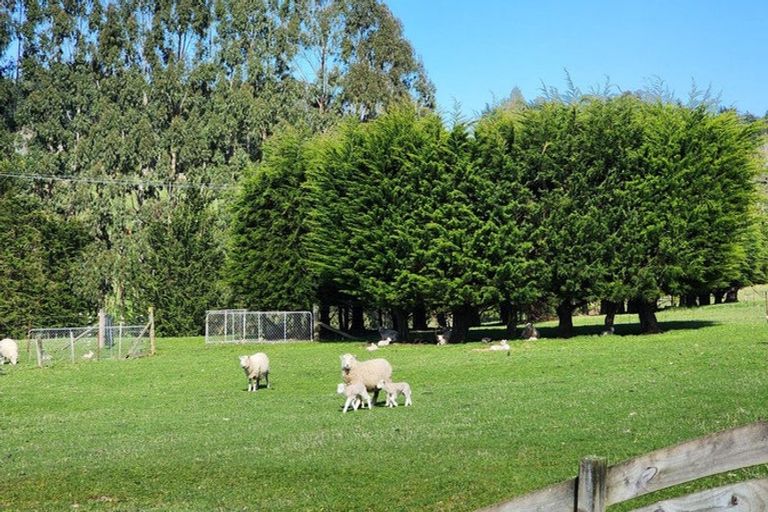 Photo of property in 93 Three Mile Hill Road, Halfway Bush, Dunedin, 9076