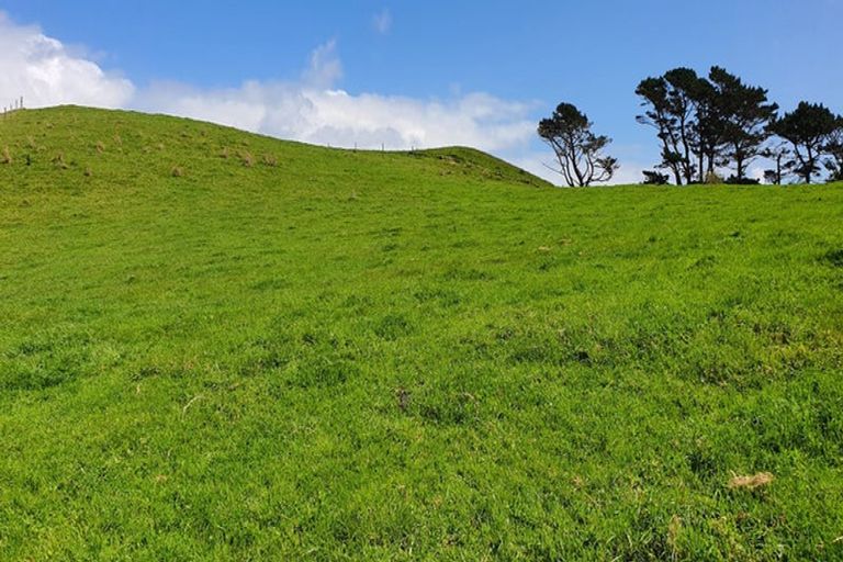 Photo of property in 247 Kaihau Road, Karioitahi, Waiuku, 2683