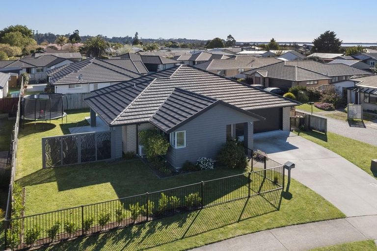 Photo of property in 8 Eastbank Drive, Katikati, 3129