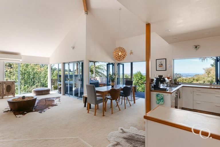 Photo of property in 499 Wainui Road South, Whakamarama, Tauranga, 3180