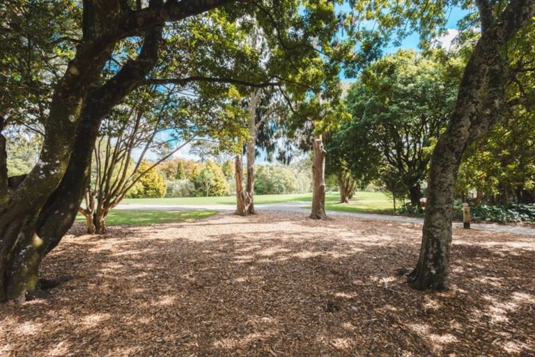 Photo of property in 16/17 Georgia Terrace, Albany, Auckland, 0632