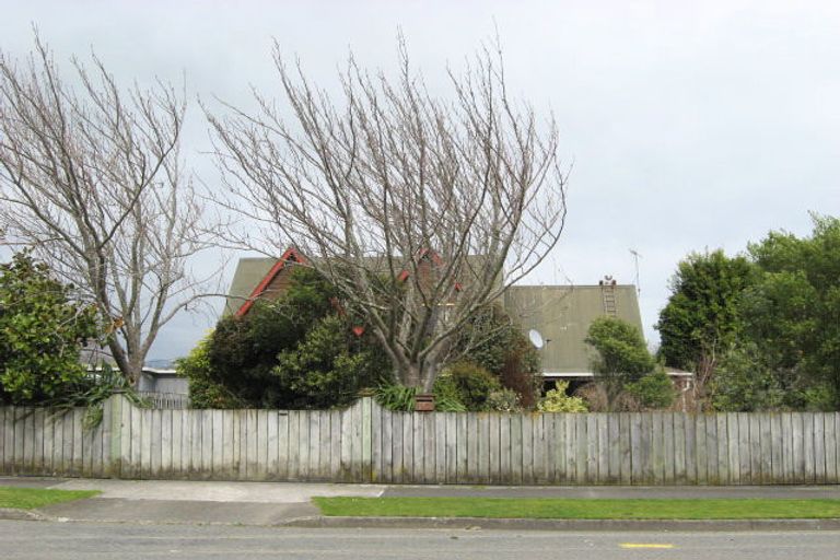 Photo of property in 10 Hereford Street, Levin, 5510