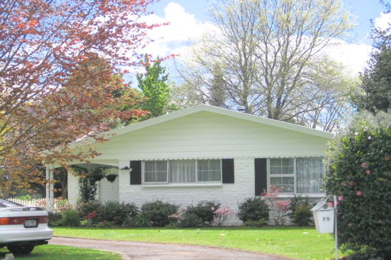 Photo of property in 75 Station Road, Matamata, 3400