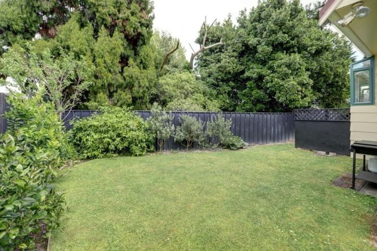 Photo of property in 63 Rimu Street, Maeroa, Hamilton, 3200