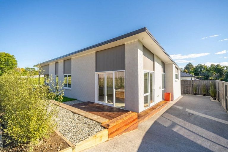 Photo of property in 47a Western Avenue, Omokoroa, 3114
