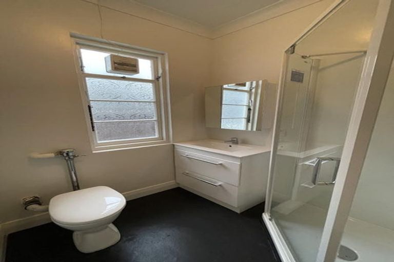 Photo of property in Norton Flats, 1/302 Willis Street, Aro Valley, Wellington, 6011