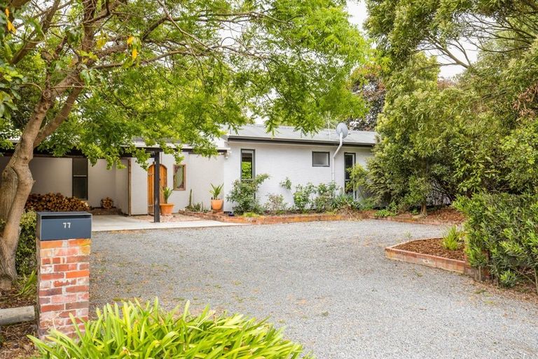 Photo of property in 77 Kings Avenue, Waikuku Beach, 7402