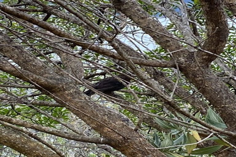 Photo of property in 276 Marine Drive, Charteris Bay, Governors Bay, 8971