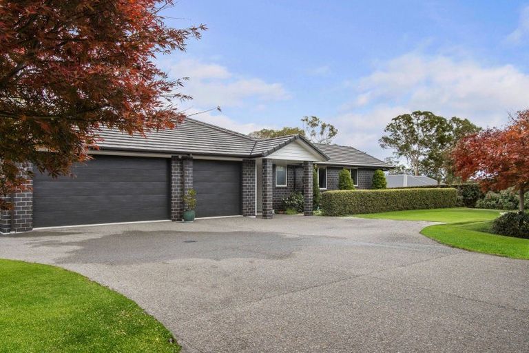 Photo of property in 8 Astelia Drive, Omokoroa, 3114