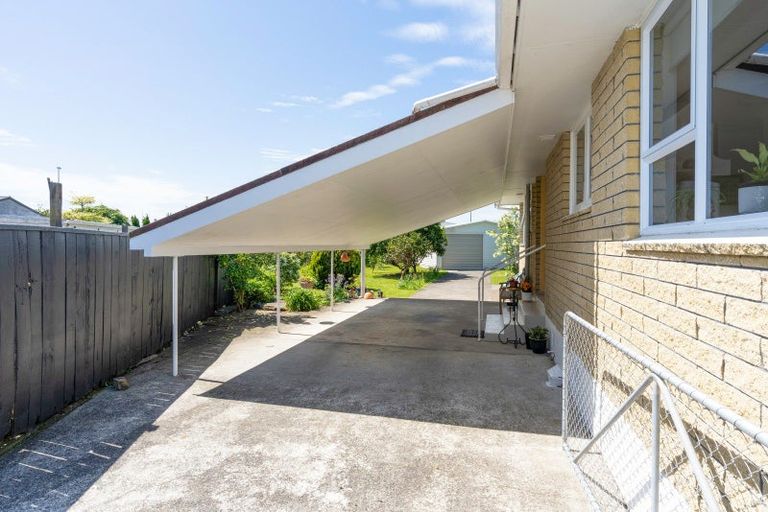 Photo of property in 17 Cornwall Street, Levin, 5510