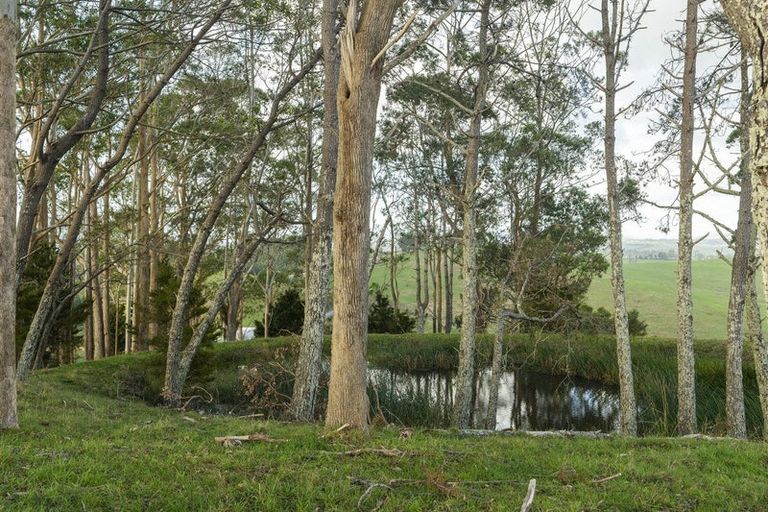 Photo of property in 210 Milne Road, Purua, Whangarei, 0172