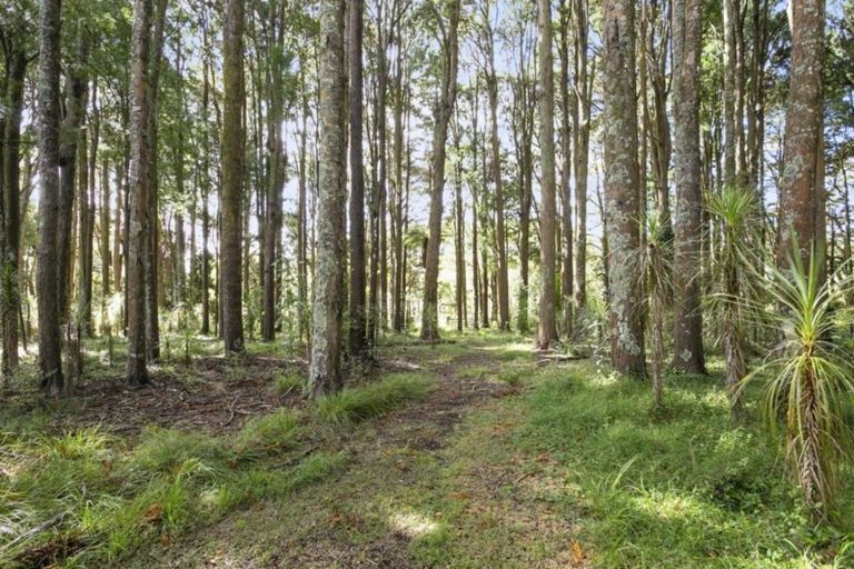Photo of property in 1184 Kahikatea Flat Road, Waitoki, Kaukapakapa, 0871