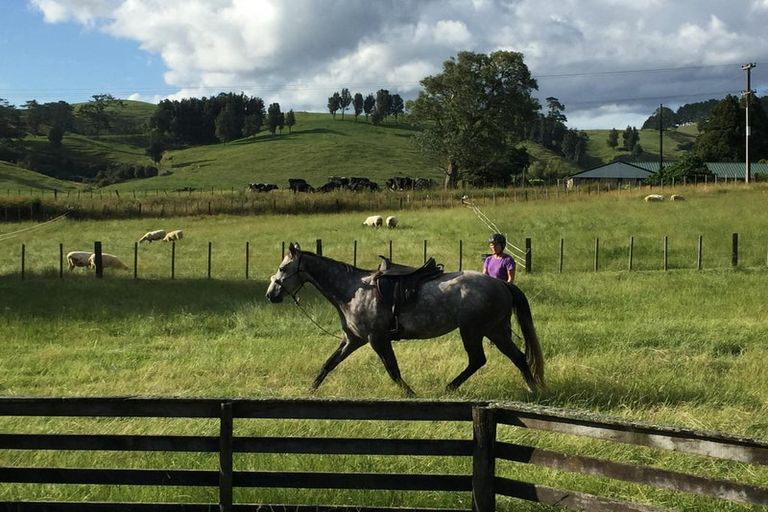 Photo of property in 505 Golden Valley Road, Waihi, 3681