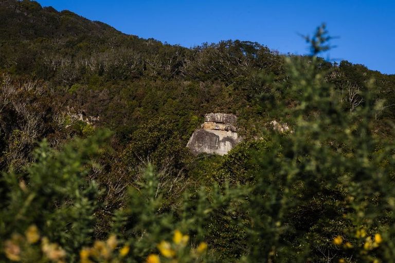 Photo of property in 680 Taylorville Road, Taylorville, Greymouth, 7805