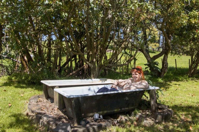 Photo of property in 234 Walford Road, Aongatete, Katikati, 3181