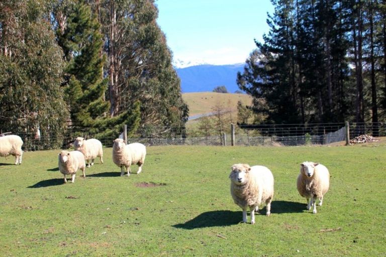 Photo of property in 18 Kakapo Road, Te Anau, 9672