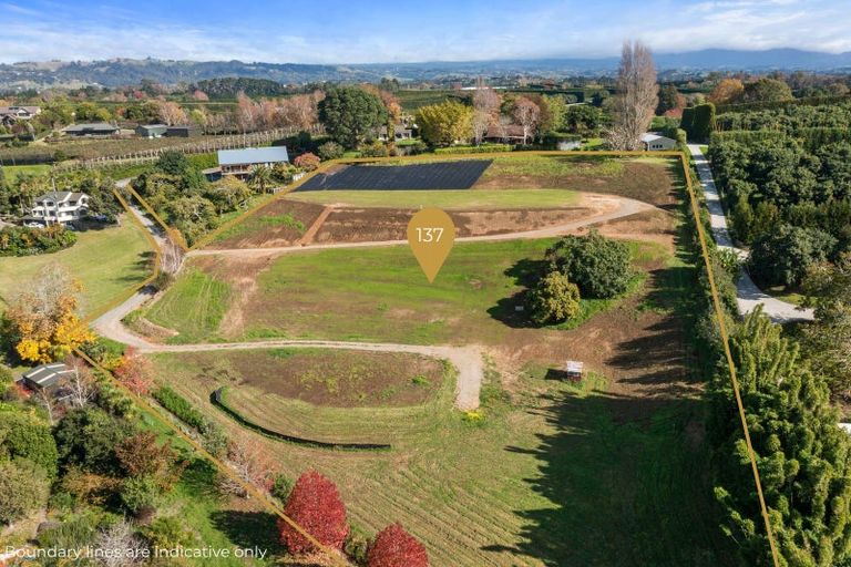 Photo of property in 137 Lochhead Road, Te Puna, Tauranga, 3176