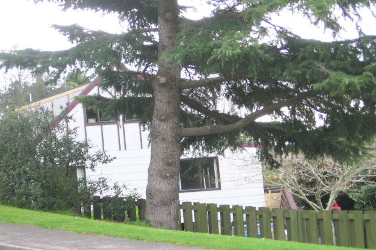 Photo of property in 43 Sutherland Road, Brookfield, Tauranga, 3110