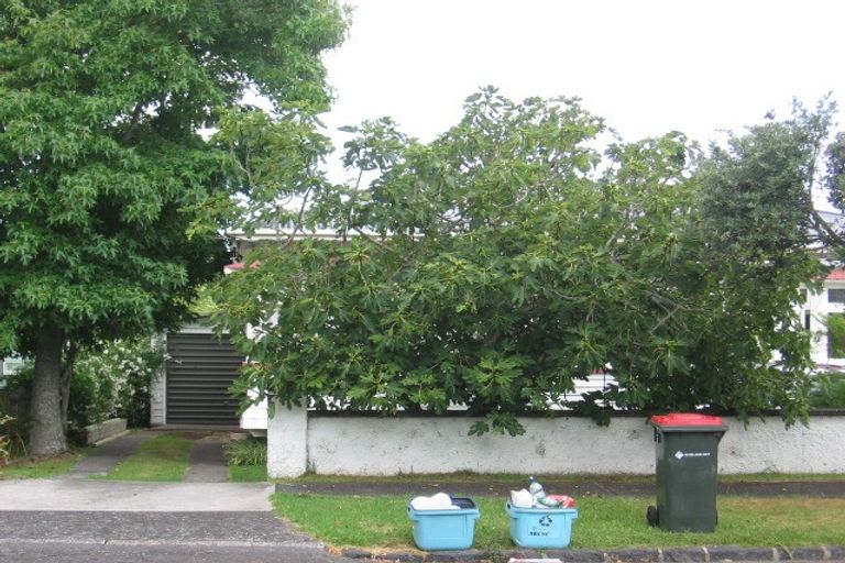 Photo of property in 15 Challinor Crescent, Mount Albert, Auckland, 1025