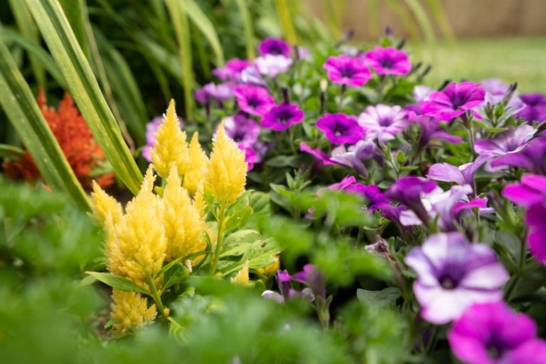 Photo of property in 10 Muirfield Rise, Te Kamo, Whangarei, 0112