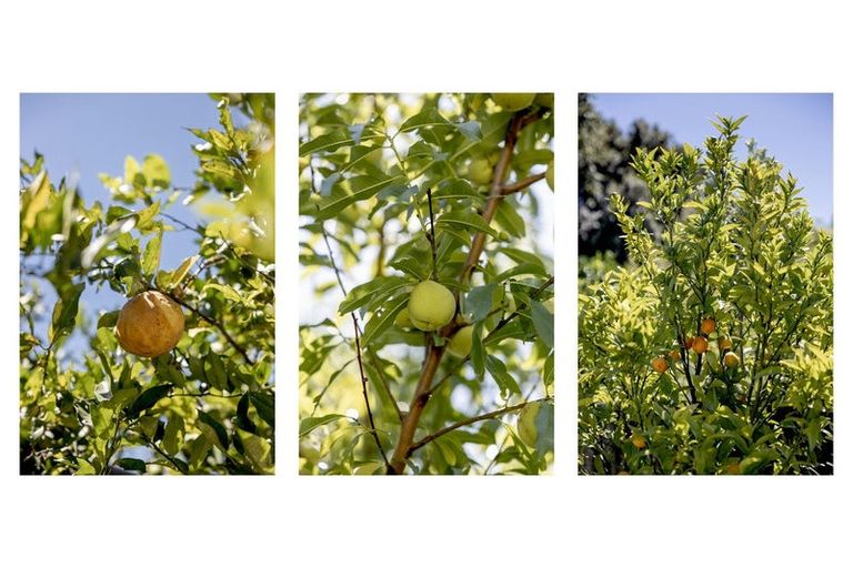 Photo of property in 7 Ratima Place, Whakatane, 3120