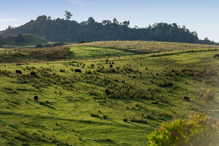 Photo of property in 44 Arone Way, Wainui, Silverdale, 0994