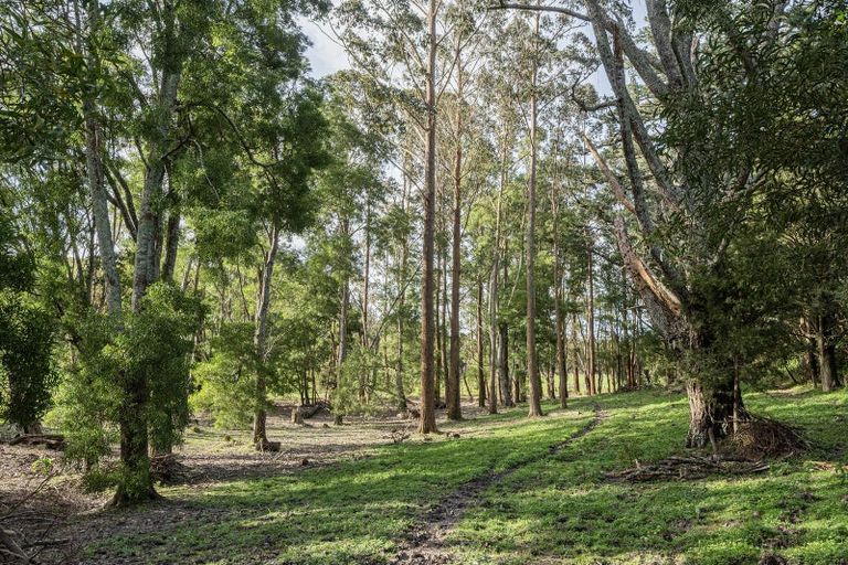 Photo of property in 307 Whananaki North Road, Opuawhanga, Hikurangi, 0181