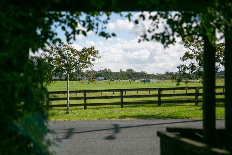 Photo of property in 69 Vogel Street, Cambridge, 3434