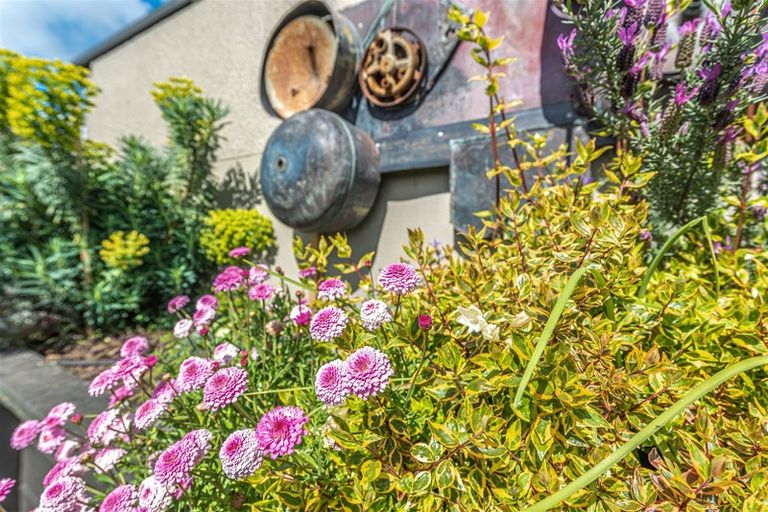 Photo of property in 56a Plymouth Street, Whanganui, 4500